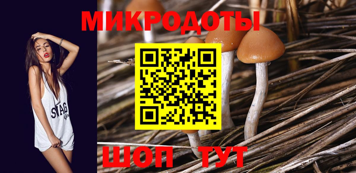 продажа наркотиков  Галлюциногенные грибы Psilocybine cubensis  Вход с VPN  Северск  Галлюциногенные грибы мухоморы 